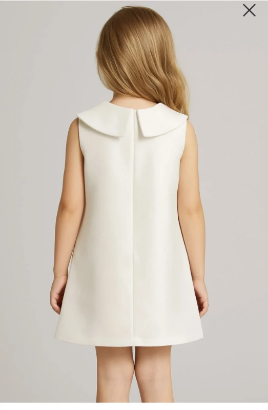 Yakası fiyonklu elbise 